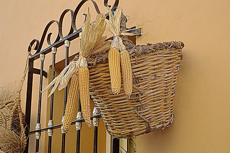 corn, esparto, basket of esparto grass, dried corn, rustic, crafts, ears, food, hanging, food and drink