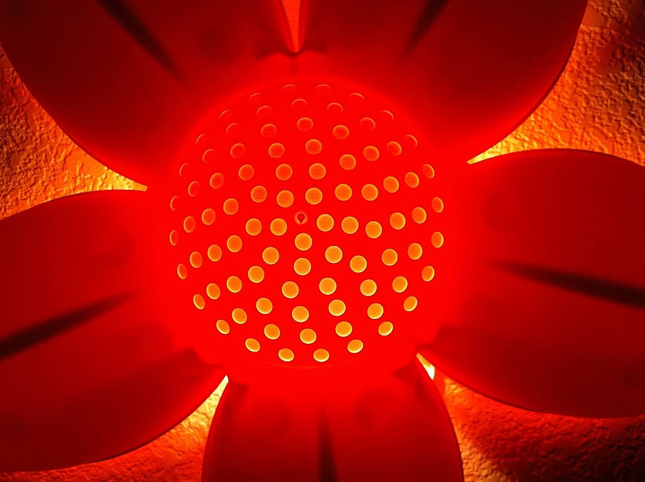 Lamp, Nightlight, Flower, Pink, Glow, red, backgrounds, abstract, science, close-up
