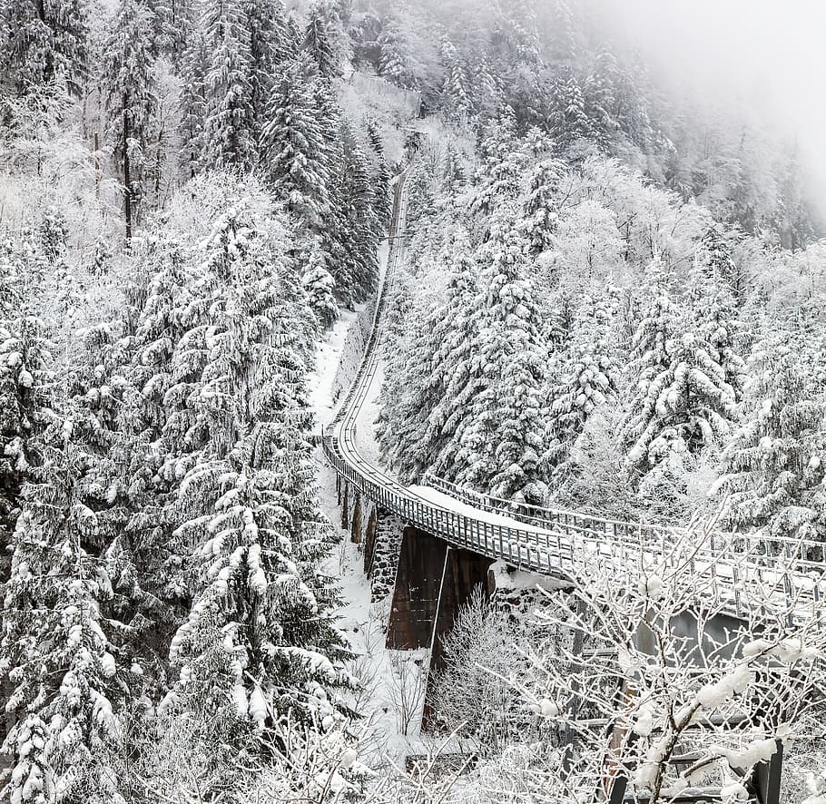 funicular, ferrocarril, viaducto, curva, stoos, schwyz, suiza, niebla, invierno, nieve