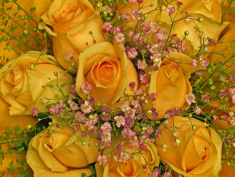 foto close-up, kuning, mawar, karangan bunga, ucapan selamat ulang tahun, bunga, penjual bunga, selamat, hari valentine, mekar