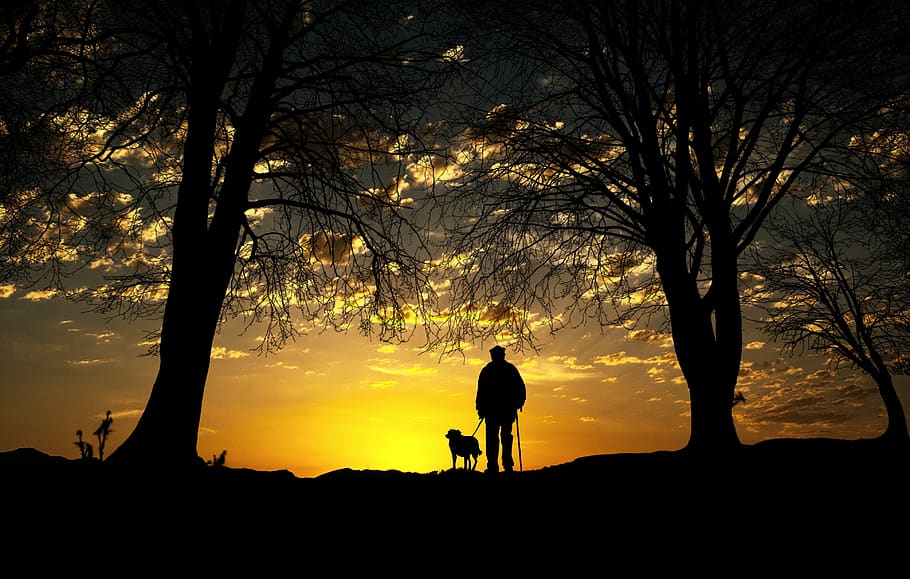 walk, dog, man, nature, landscape, hiking, sunset, silhouette, twilight, dom