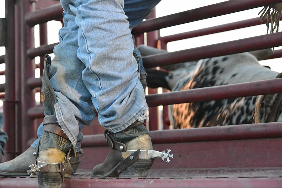 person, wearing, blue, jeans, cowboy boots, animal cage, cowboy, boots, spurs, rodeo