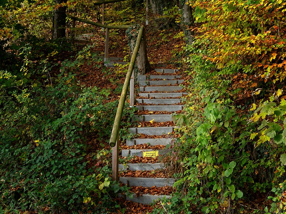 stairs, gradually, nature, away, staircase, rise, stair step, emergence, autumn, steps and staircases