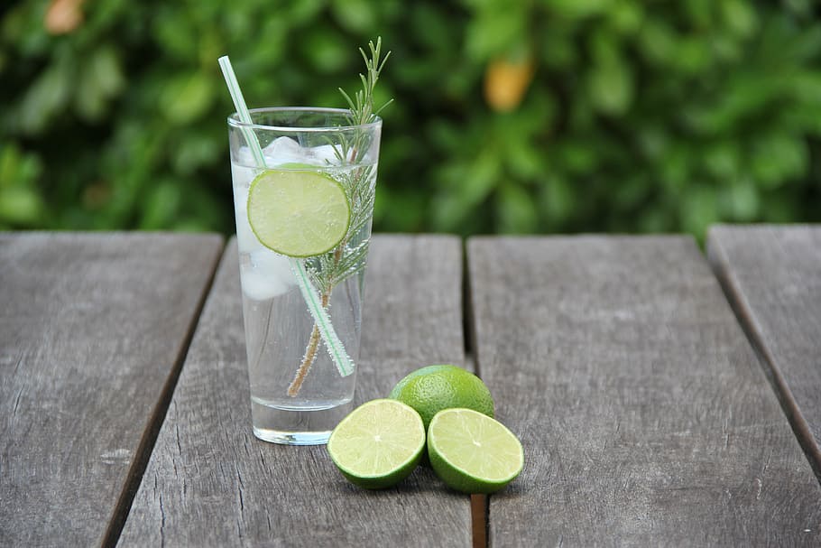 slice of limes, gin, tonic, cocktail, alcohol, drink, lime, lemon, food and drink, refreshment