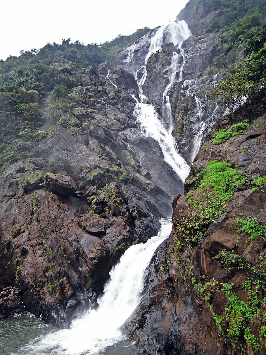 waterfall, dudhsagar, dudh sagar, goa, india, sahyadri, western ghats, nature, mountain, river