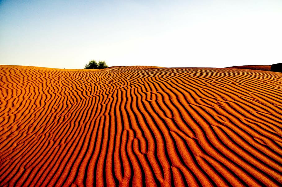 arenas marrones del desierto, desierto, paisaje, naturaleza, paisaje desértico, viajes, arena, turismo, hermosa, paisajes