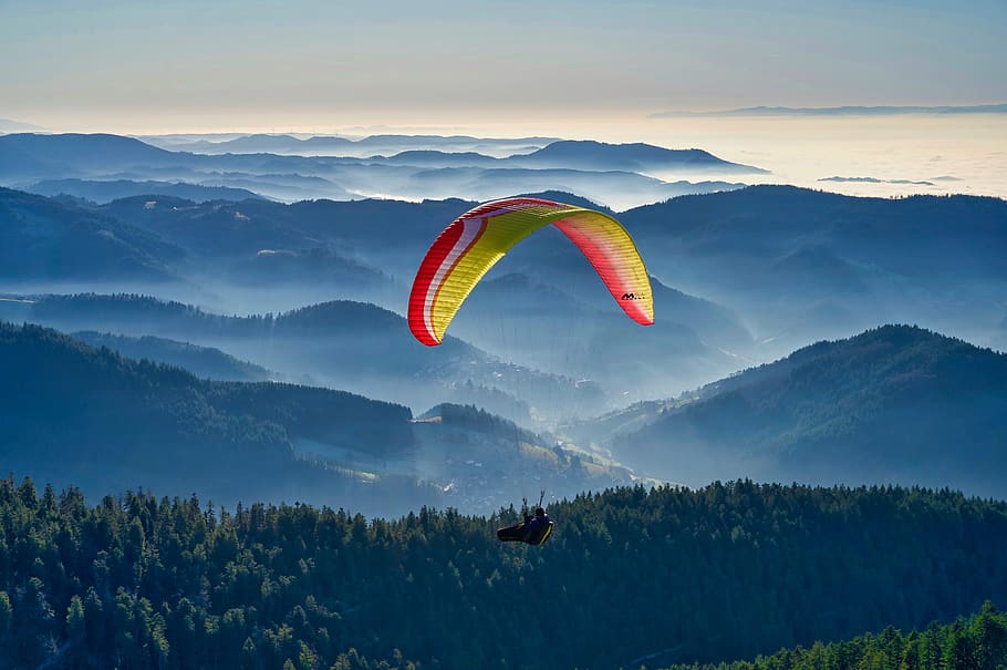 paragliding, sport, flying, dom, paraglider, mountains, black forest, adventure, parachute, extreme sports