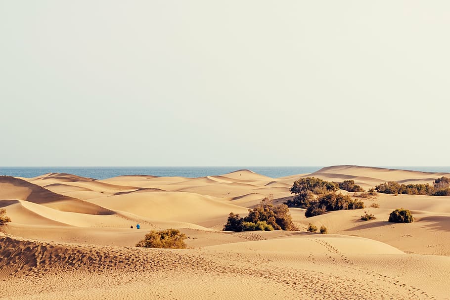 fotografia de paisagem, deserto, dia, dunas, férias, areia, maspalomas, ilhas canárias, gran canaria, calor