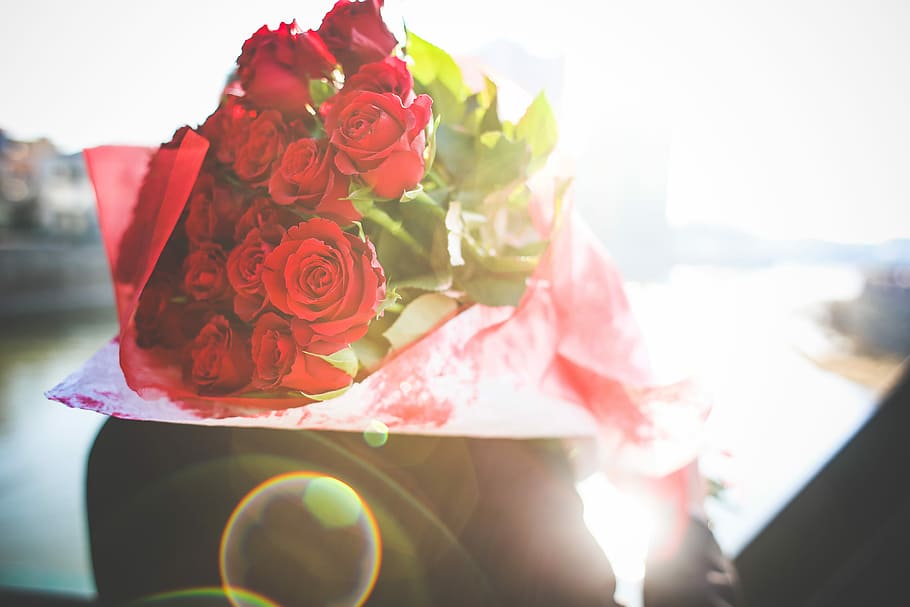 bouquet, roses, Bouquet of Roses, Sunbeams, flowers, gentleman, love, man, saint valentine, sunlights