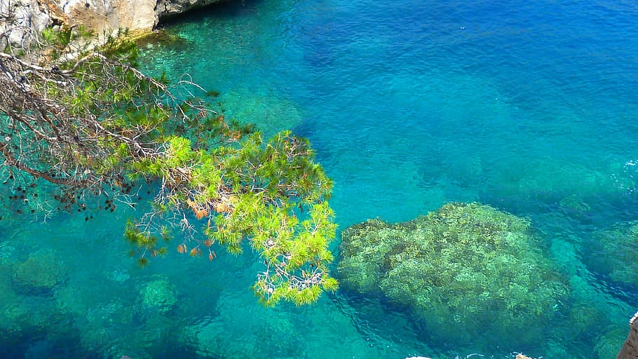 mar, Rocha, agua, natureza, Mediterrâneo, cor, humor, água, beleza natural, subaquática