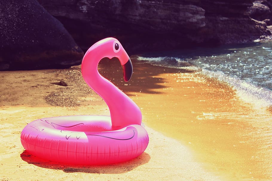 flamingo floatie, seashore, daytime, Flamingo, beach, water, sea, outdoors, red, summer