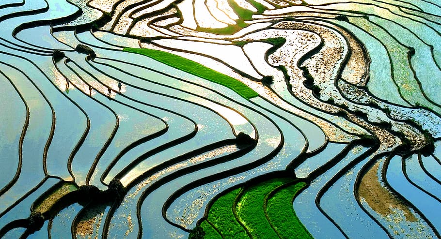 blue, black, brown, abstract, painting, lao cai, terraces, green, sunlight, sapa