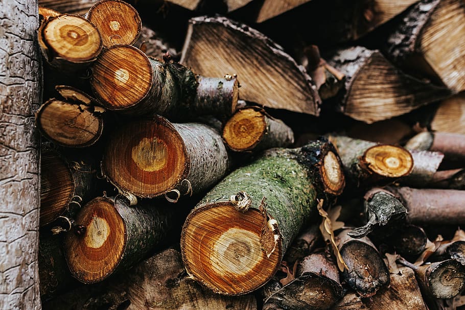 troncos de madera, madera, troncos, bosque, madera - Material, naturaleza, árbol, leña, marrón, registro