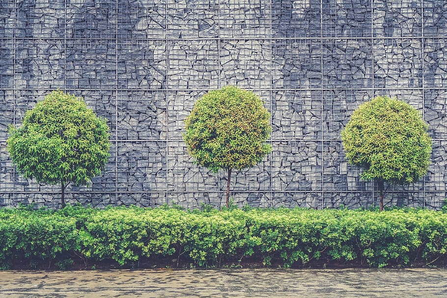 緑, 葉, 木, 植物, 壁, 建築, デザイン, 装飾, パターン, 壁の背景