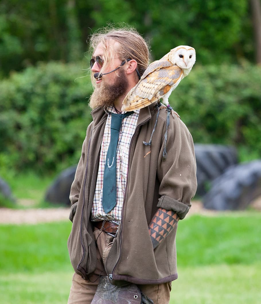 man with owl, barn owl, hippy, microphone, green, falconer, raptor, feathers, hunting, bird