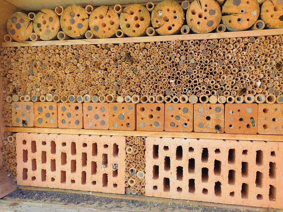plano de fundo, padrão, ornamento, velho, parede, abelha, hotel de abelha, abelha solitária, eigenbau, inseto