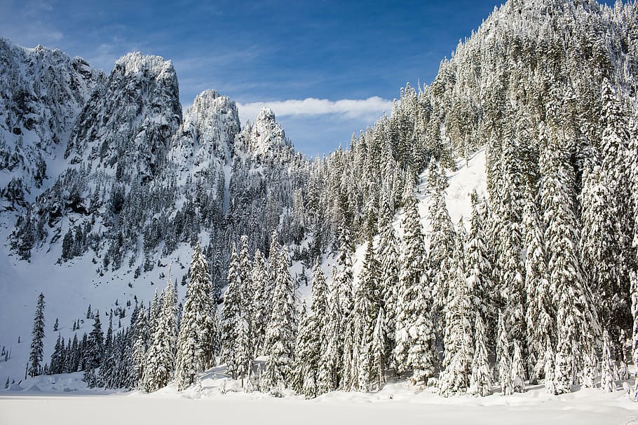 雪に覆われた山, 雪, 冬, 白, 寒さ, 天気, 氷, 木, 植物, 自然