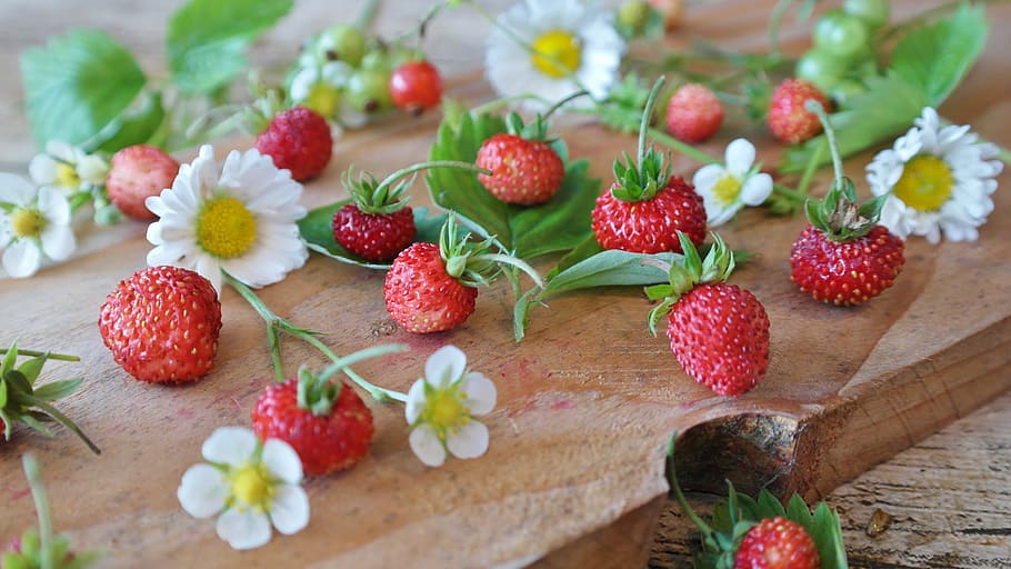 イチゴ, 白, デイジーの花, テーブル, 野生のイチゴ, デイジー, 静物, 閉じる, 甘い, 果物