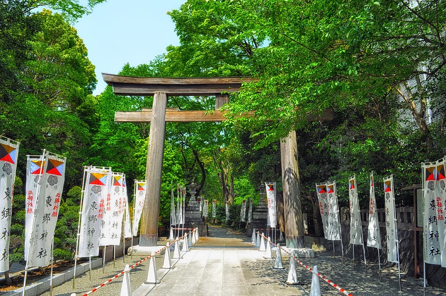 japan, torii traditional gate, flags, religion, faith, walkway, trees, landmark, hdr, tree