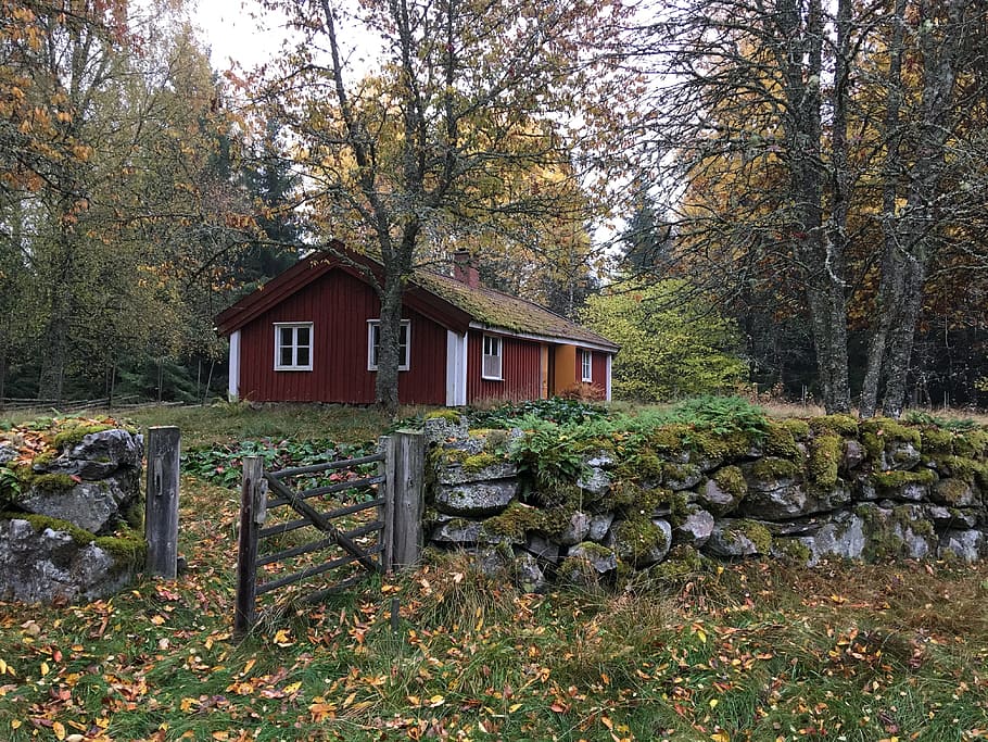 Home, Sweden, Stone Wall, Holiday, Old, traditionally, tree, day, outdoors, built structure