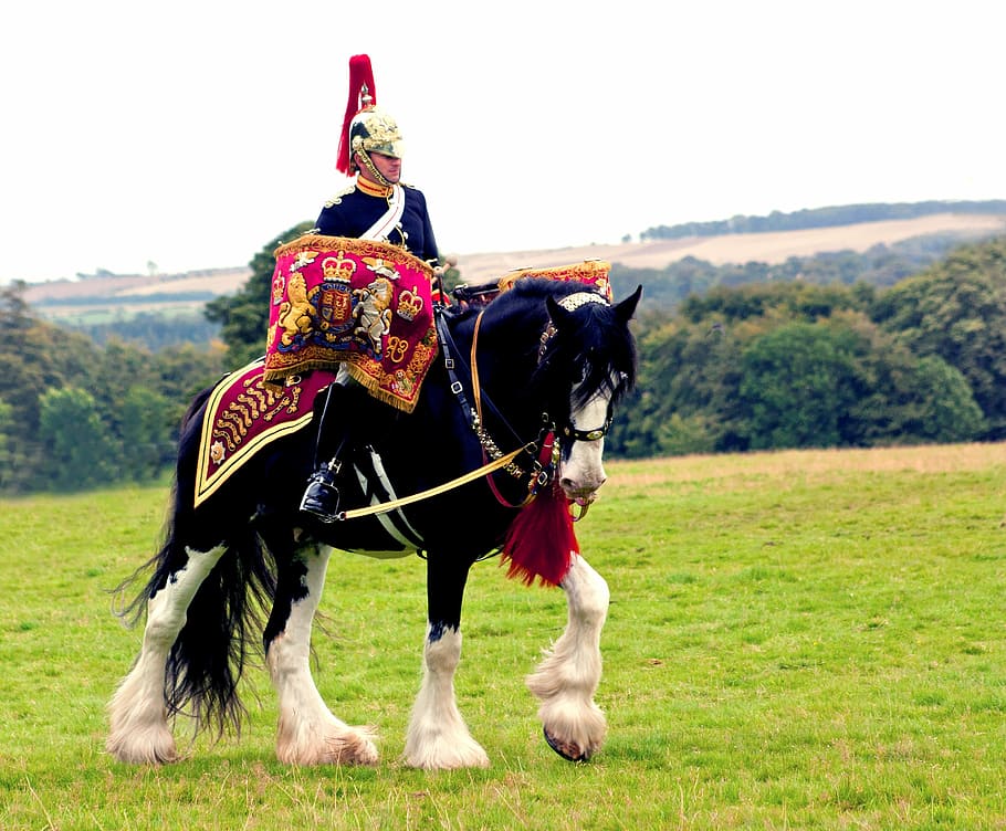 man, riding, horse, army, military, soldier, queen, brigade, blues, royals