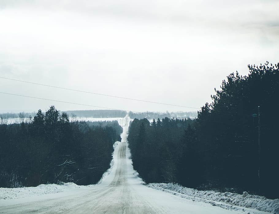gray, concrete, road, green, trees, plant, nature, forest, snow, winter