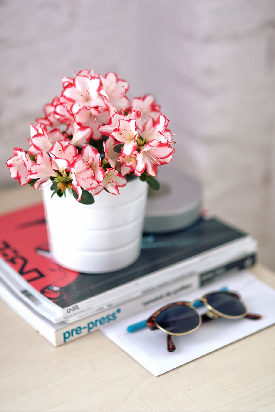 profundidad, foto de campo, flores blancas y rojas, blanco, maceta, azalea,  maceta blanca, gafas de sol, plantas de interior, planta | Pxfuel