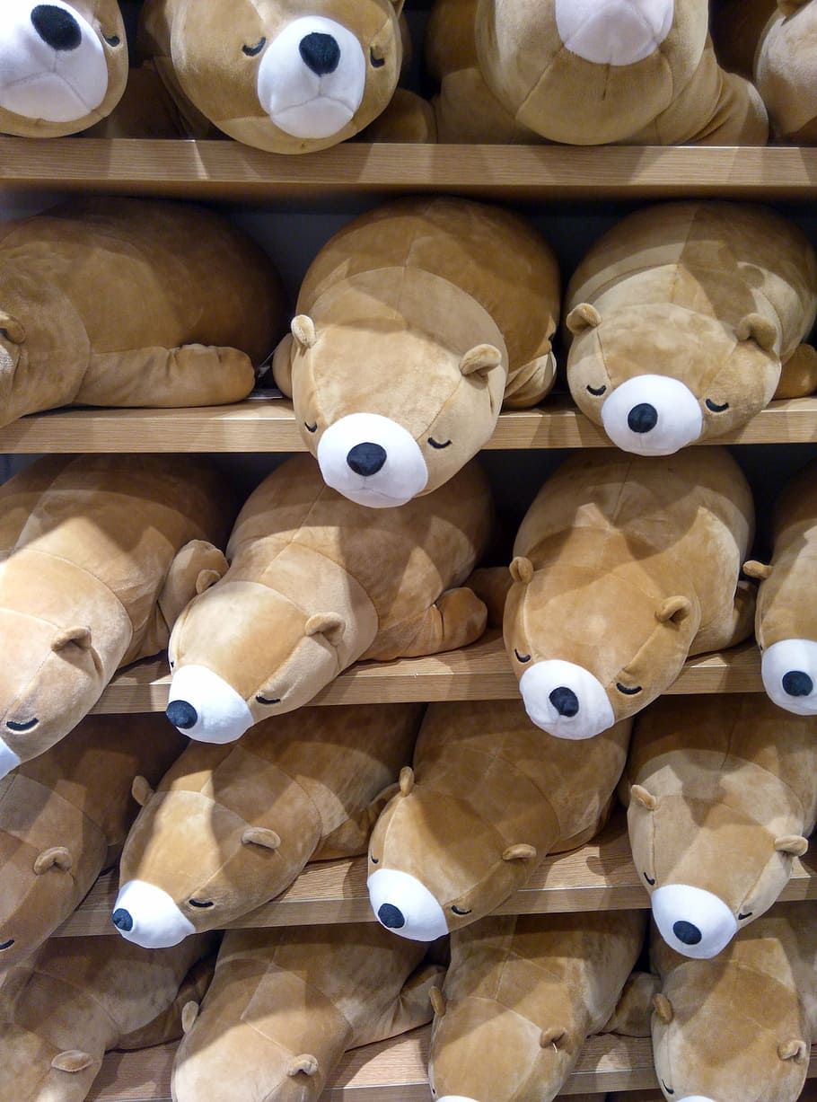 beruang, boneka, mainan, toko, pelelangan, lembut, imut, tidur, sekelompok besar objek, di dalam ruangan