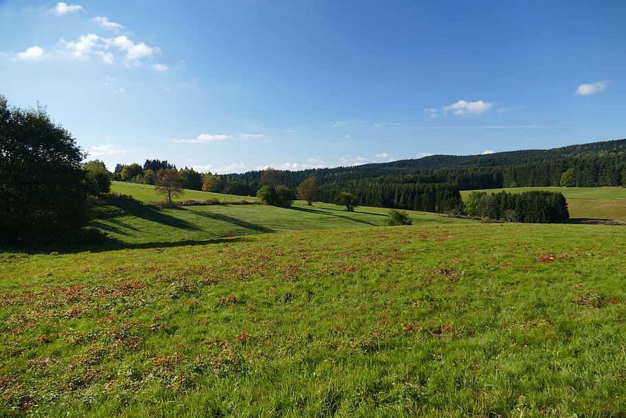 campo de hierba verde, paisaje, prado, naturaleza, otoño, cielo, nubes, árboles, perspectiva, contraste