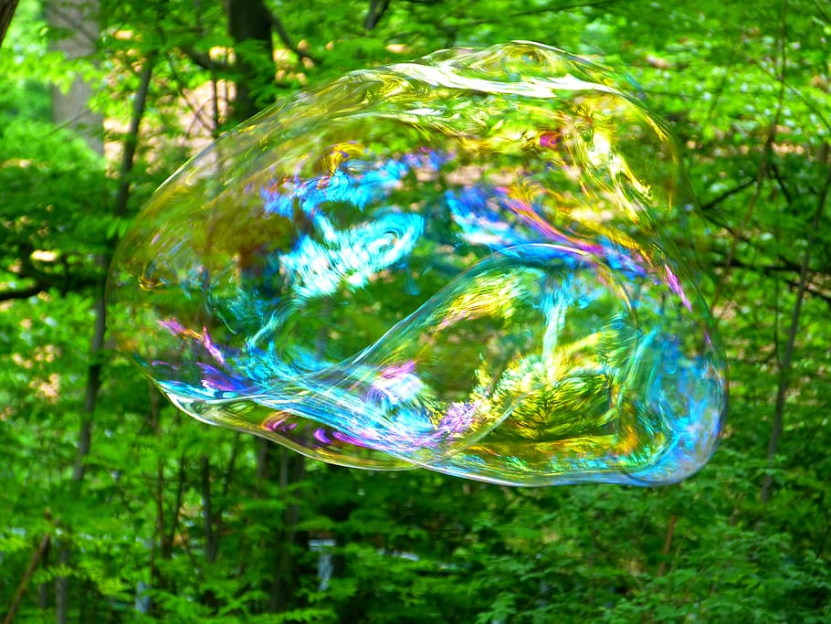 bubble, air, tree, soap bubble, fly, weightless, shimmer, float, airy, ease