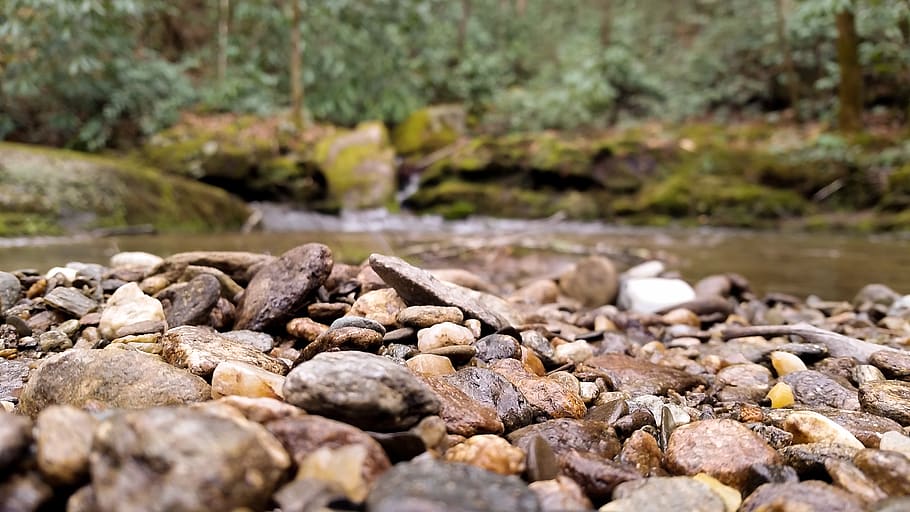 rocks, creek, brook, stone, landscape, nature, water, river, stream, forest