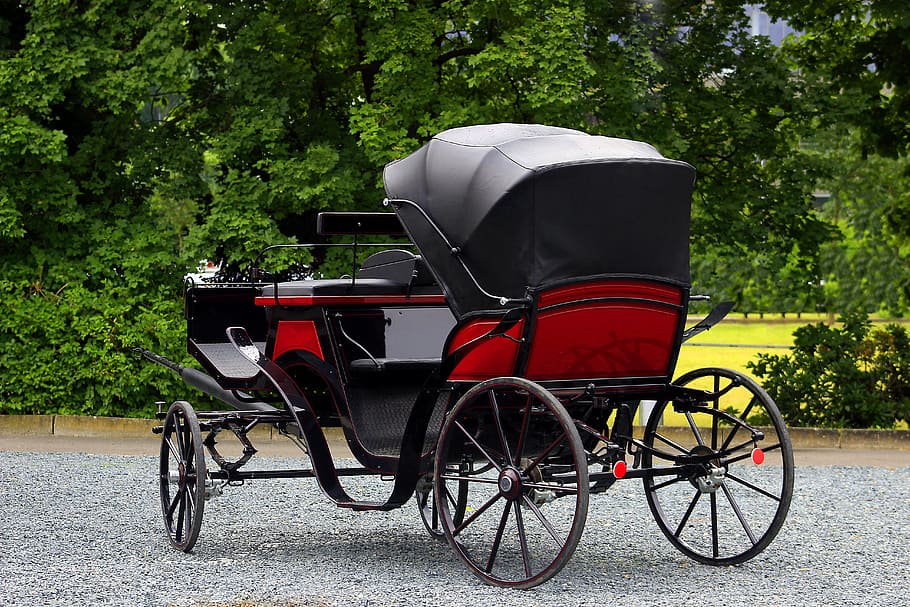 black, red, carriage, the coach, old, horse, vintage, rare, antique, trainer