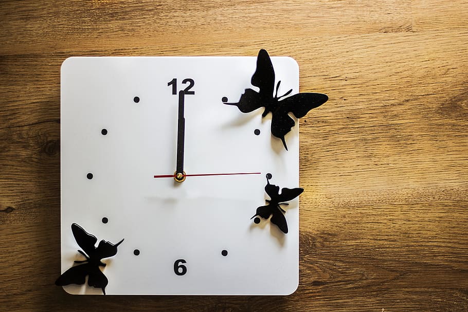 reloj, tiempo, mariposas, medición del tiempo, tiempo transcurrido, puntas de reloj, puntas, protector de reloj, minuto, reloj grande