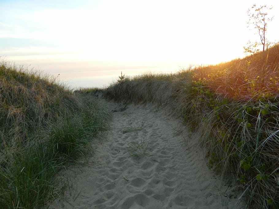 arena, playa, puesta de sol, vacaciones, mar, verano, costa, orilla, hierba, paisaje