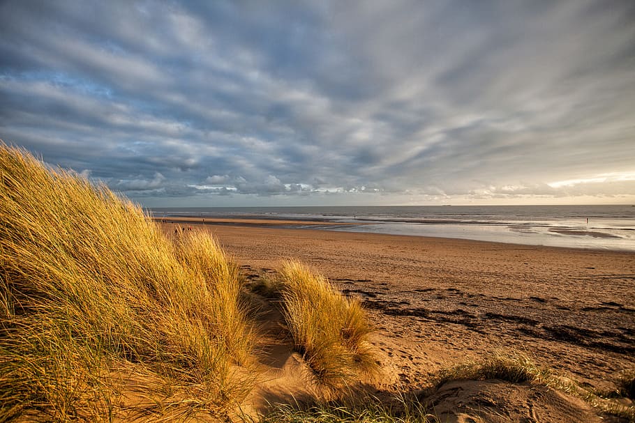 landscape shot, taken, sand dunes, east, sussex, south, england, Landscape, shot, Camber Sands