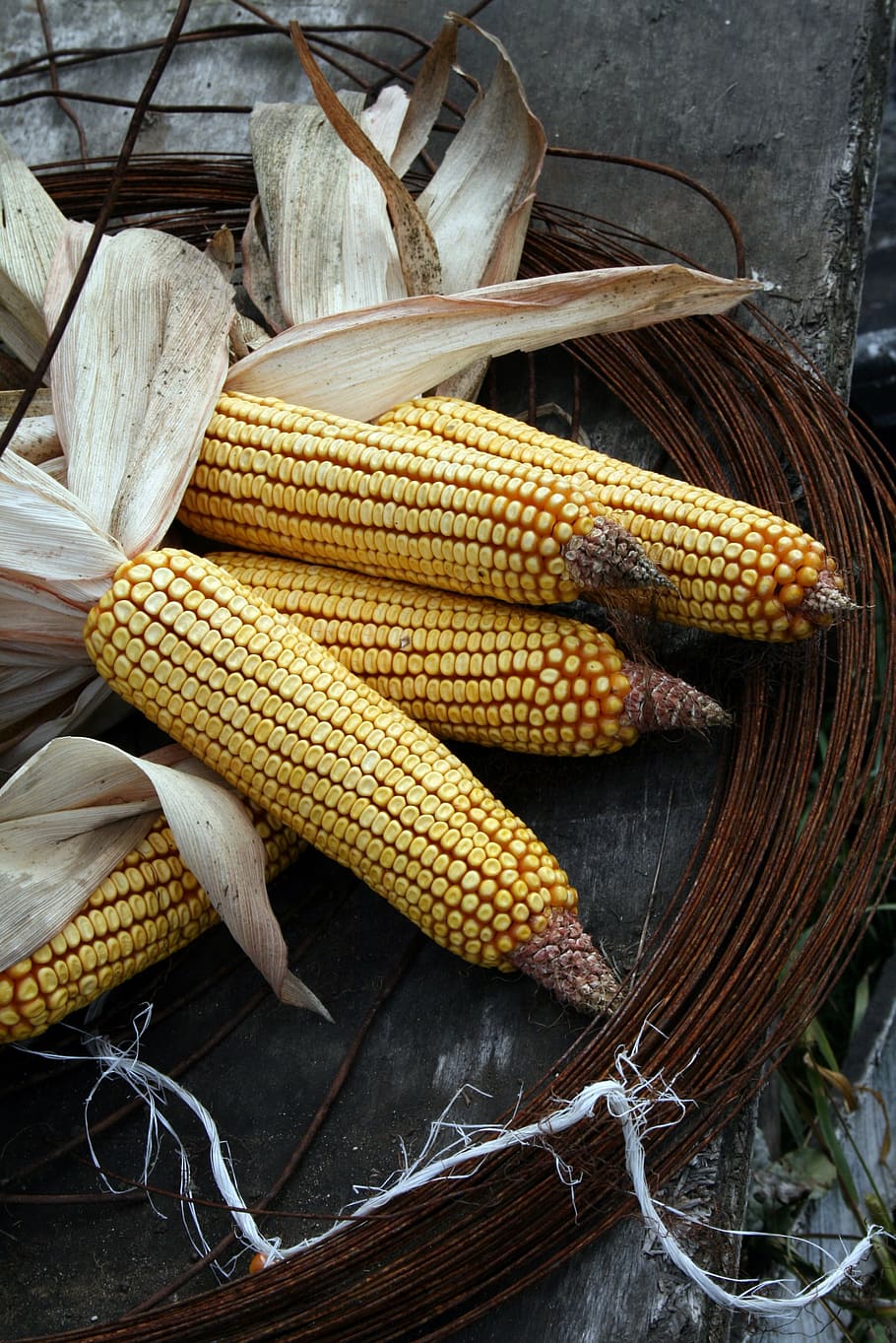 maíz, cáscara, aldea, cultivo, producir, óxido, alambre, rústico, estado de ánimo, comida