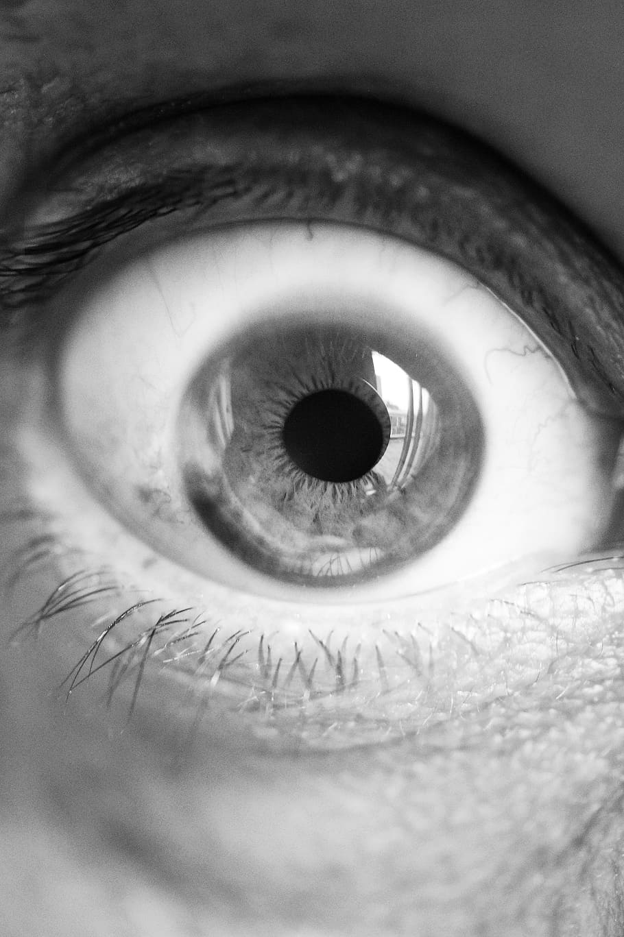 fotografía de primer plano en escala de grises, humano, ojo, primer plano, globo ocular, ver, vista, visión, reloj, blanco y negro