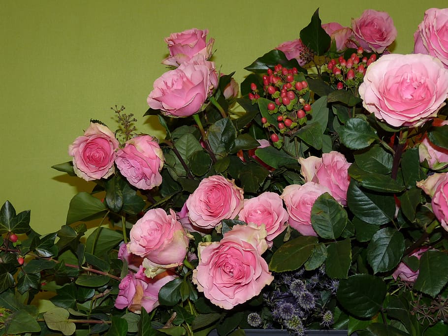 flower, flowers, plant, arrangement, flora, floristisch, decorative, rose, roses, globe thistle