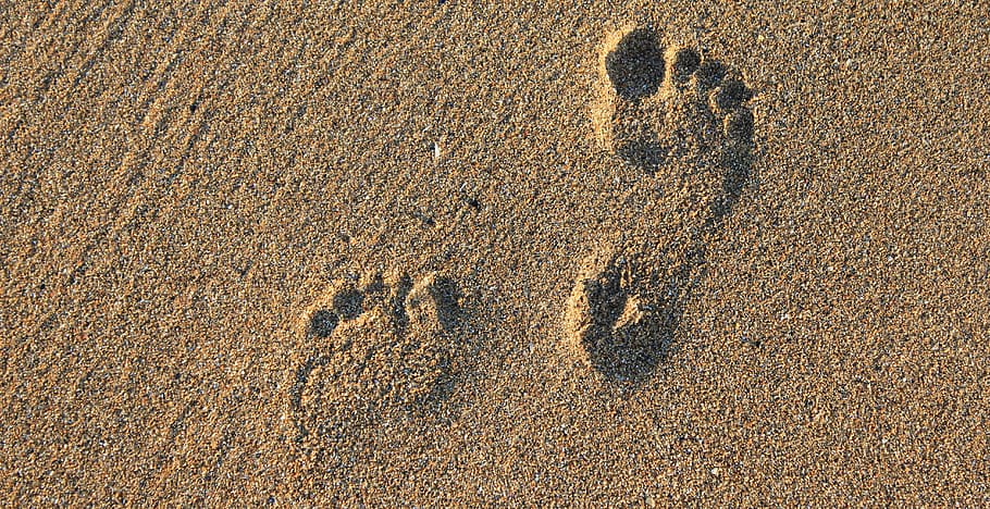 brown, sand, human, foot print, footprints, footprint, footstep, imprint, barefoot, feet