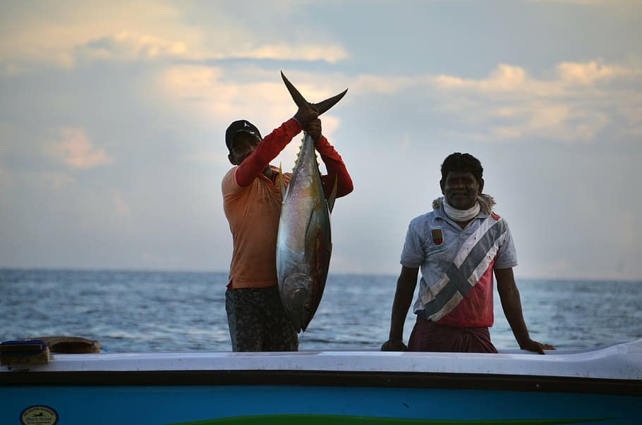 man, holding, gray, fish, white, blue, boat, sri lanka, fischer, fishing
