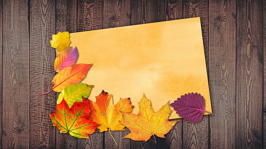 leaves illustration, watercolour, orange, autumn, leaves, colorful, fall foliage, wood, fall color, golden autumn