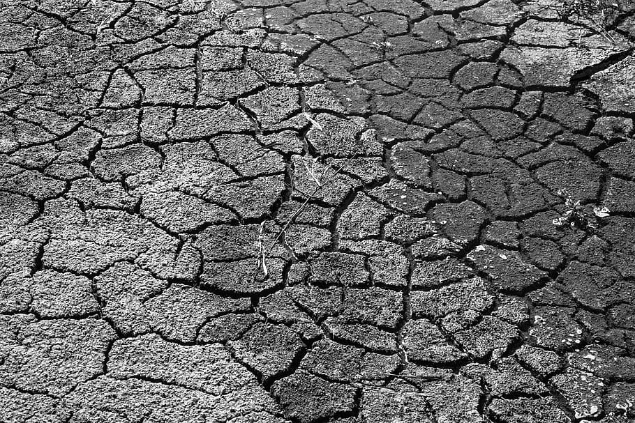 foto em escala de cinza, seca, pavimento do solo, lama, áfrica, fome, rachaduras, campo, argila, pegadas