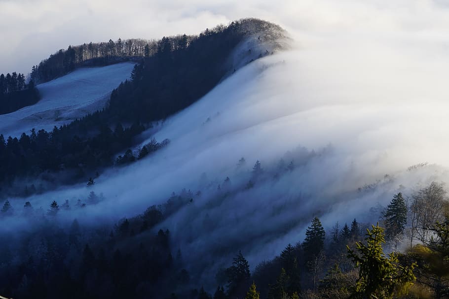 Eastern, Swiss Jura, Fog, jura, eastern jura, nebellandschaft, wave of fog, belchenflue, challhöchi, sea of fog