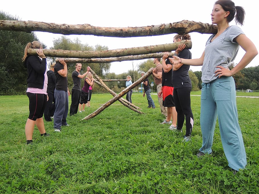 group, women, carrying, branches, shoulders, group training, crossfit, bootcamp, outdoors, people