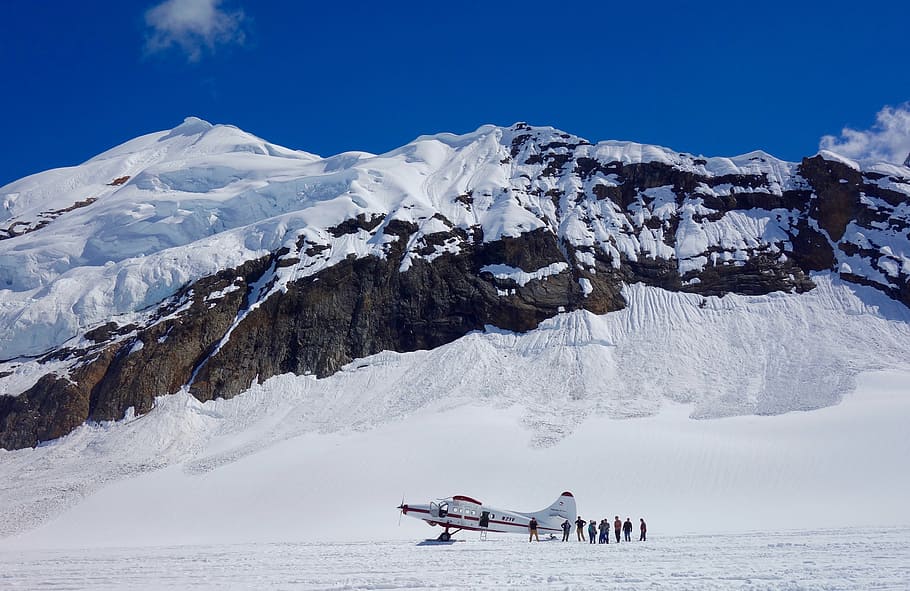 pessoas, em pé, ao lado de, avião, nevado, montanha, denali, parque, voo, turismo