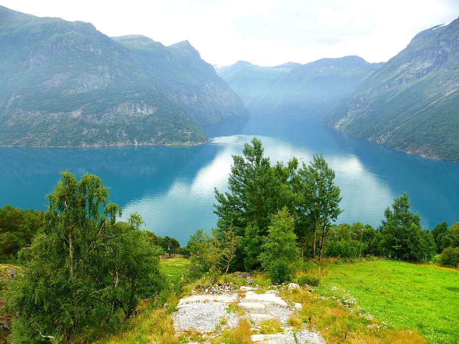 noorwegen, bergen, fjord, natuur, landschap, water, tree, mountain, plant, beauty in nature