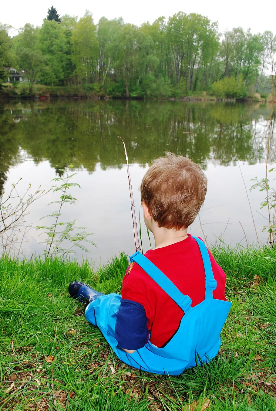 fishing, boy, child, fishing rod, pond, fisher, plant, water, real people, lake