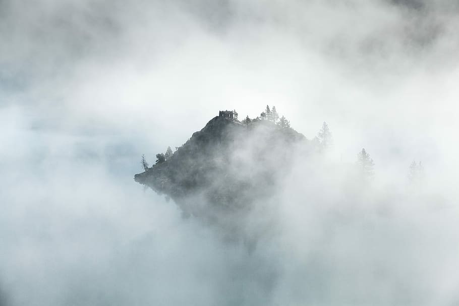 montanha, coberto, nevoeiro, cinza, rochas, árvores, branco, natureza, nuvem - céu, ao ar livre