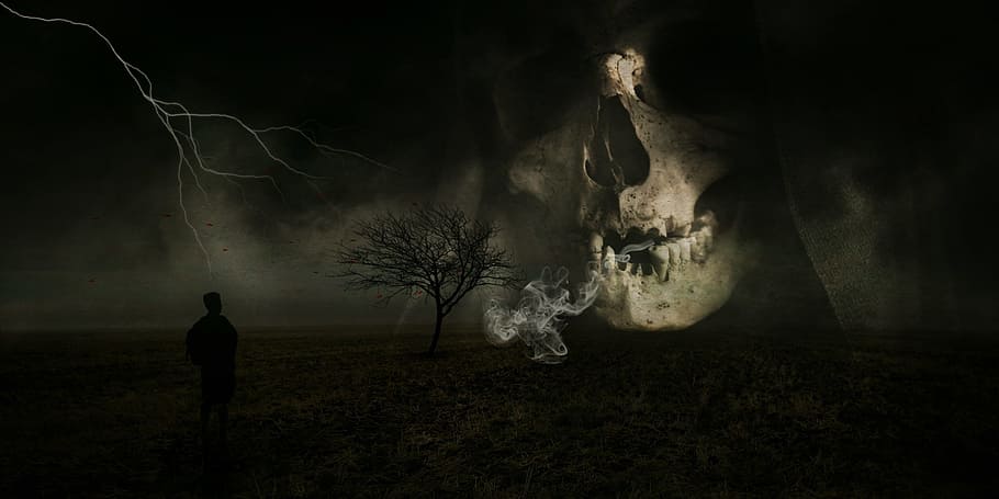 grim reaper painting, spirit, ghost, person, nightmare, skull and crossbones, darkness, horror, secret, skull