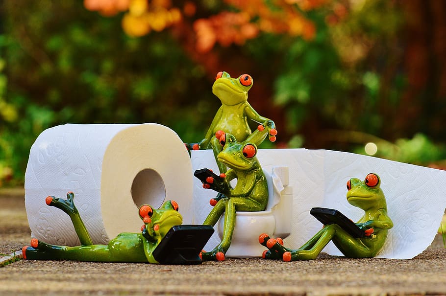 selective, focus photography, several, red, eyed, tree frog figurines, white, toilet paper roll, frog, toilet
